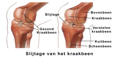 6678_nl_editor-photo7
